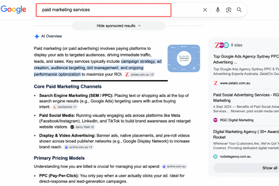zetaio ai overview paid marketing services